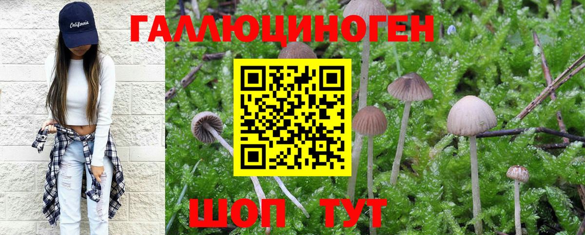 где можно купить наркотик  Псилоцибиновые грибы Psilocybe  Псилоцибиновые грибы прущие грибы  Вход с VPN  Знаменск 